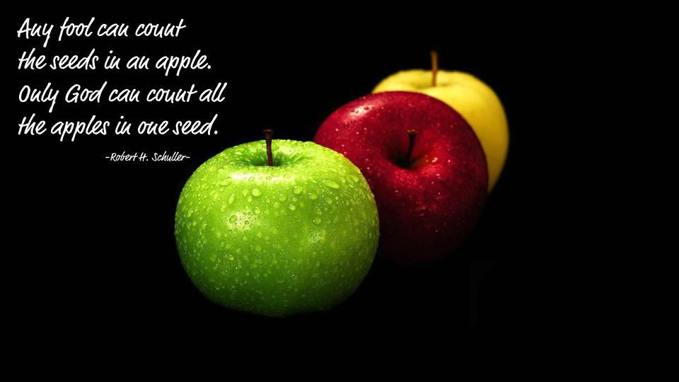 Quotes About Apples Quotesgram
