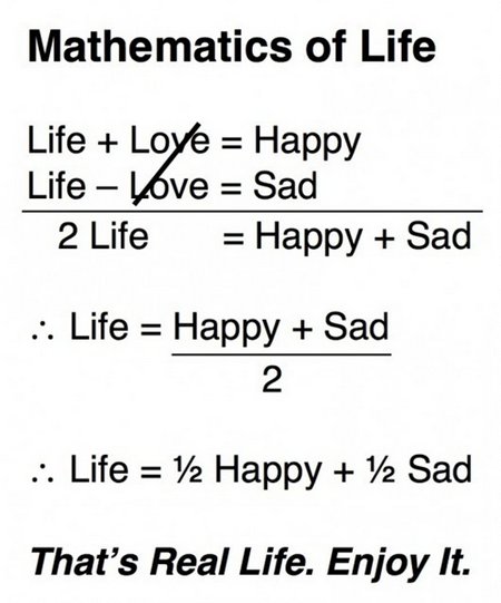 Funny Quotes About Math. QuotesGram