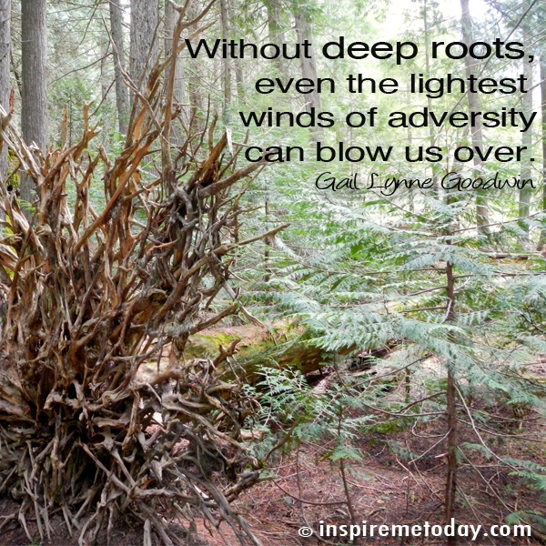 Deep Roots Quotes. QuotesGram