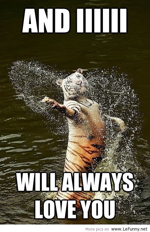 Animal Humor Funny Quotes. QuotesGram Animal Humor Funny Quotes. QuotesGram