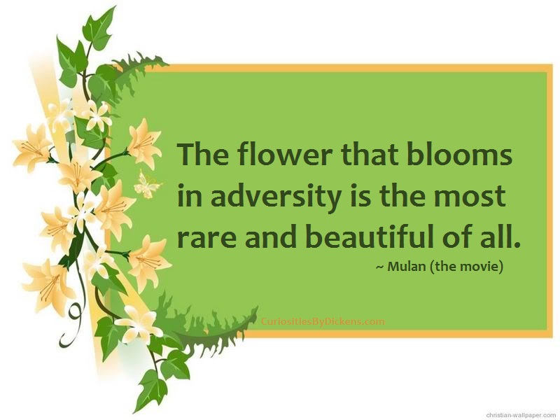 Bloom Inspirational Quotes. QuotesGram