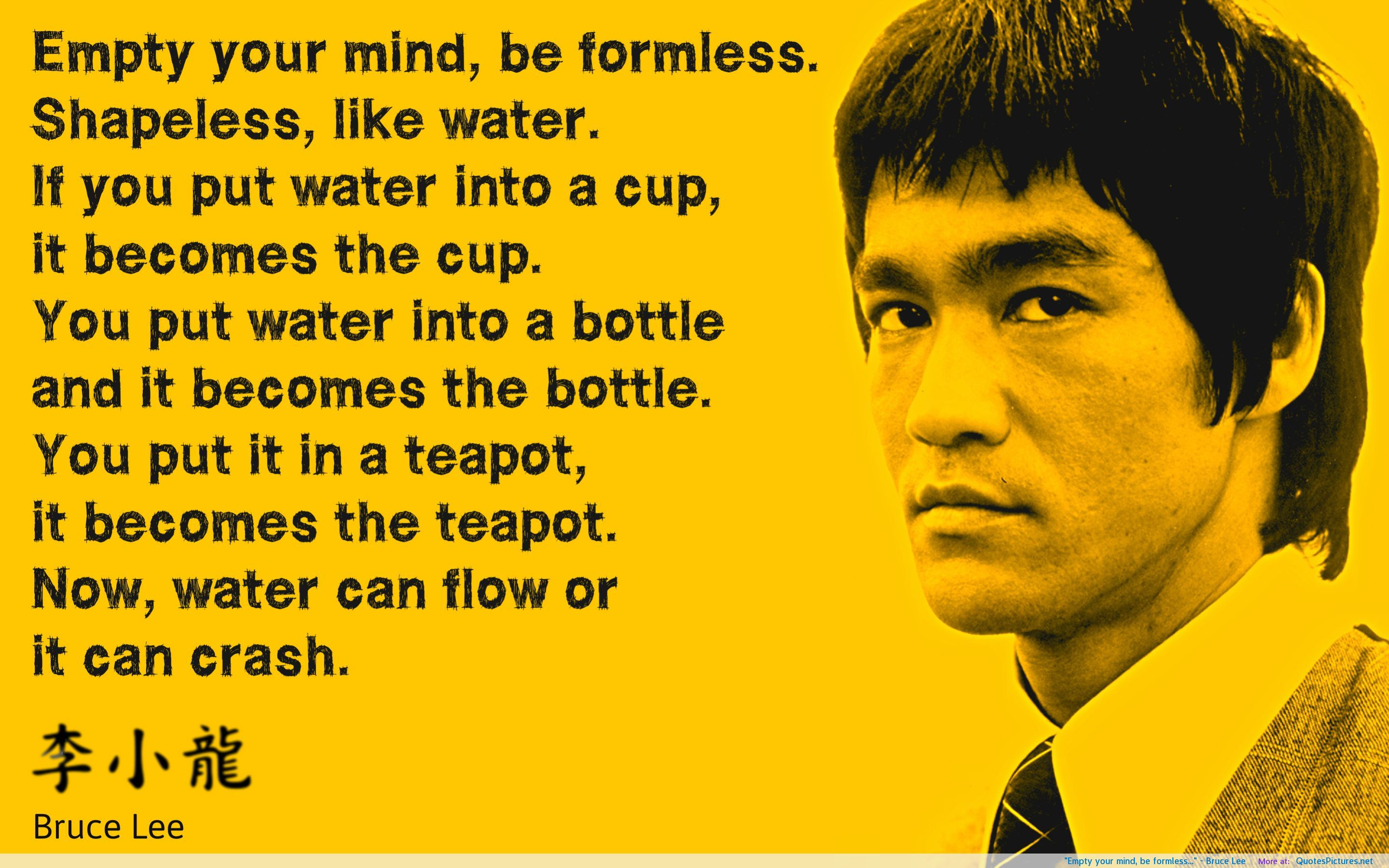 Funny Bruce Lee Quotes. QuotesGram