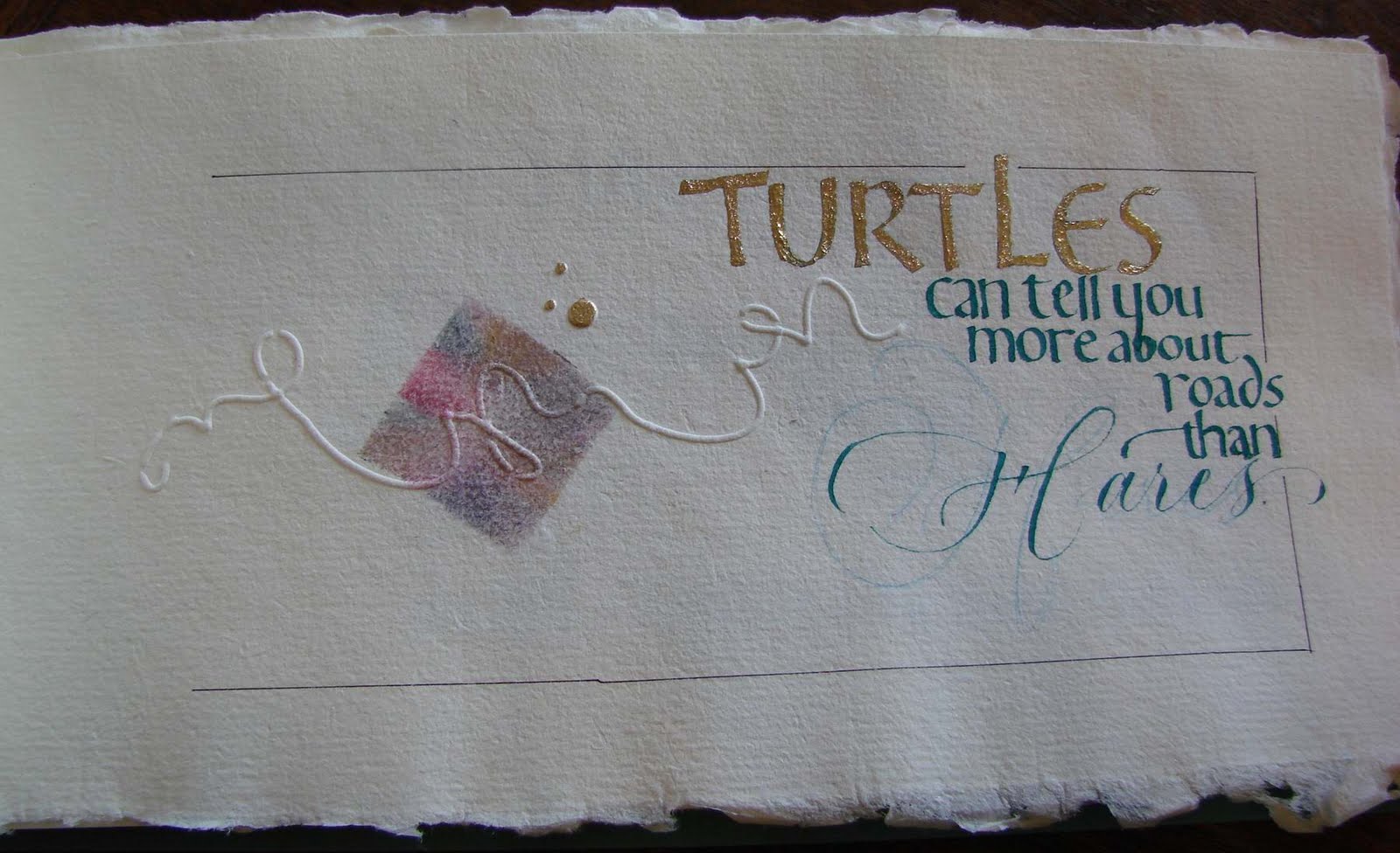 Quotes About Turtles