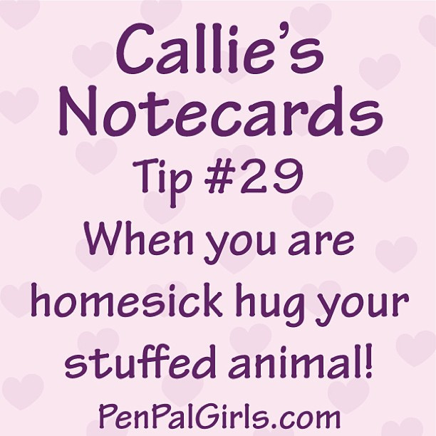 Quotes About Stuffed Animals. QuotesGram