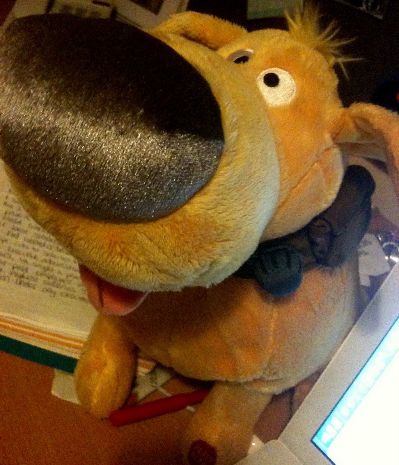 Doug From Up Movie Quotes. QuotesGram