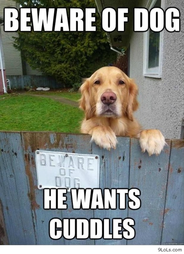 Best Animal House Quotes. QuotesGram