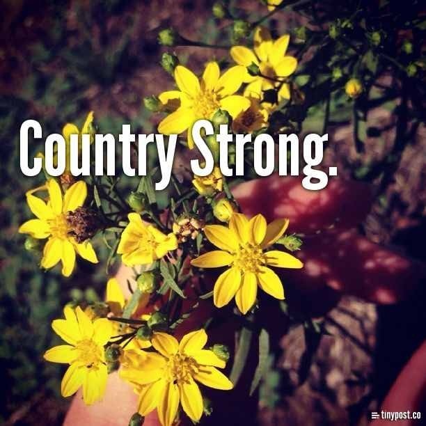 Country Folks Quotes. QuotesGram