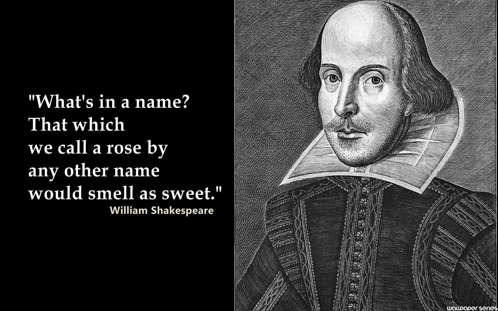 William Shakespeare Quotes About Education. QuotesGram