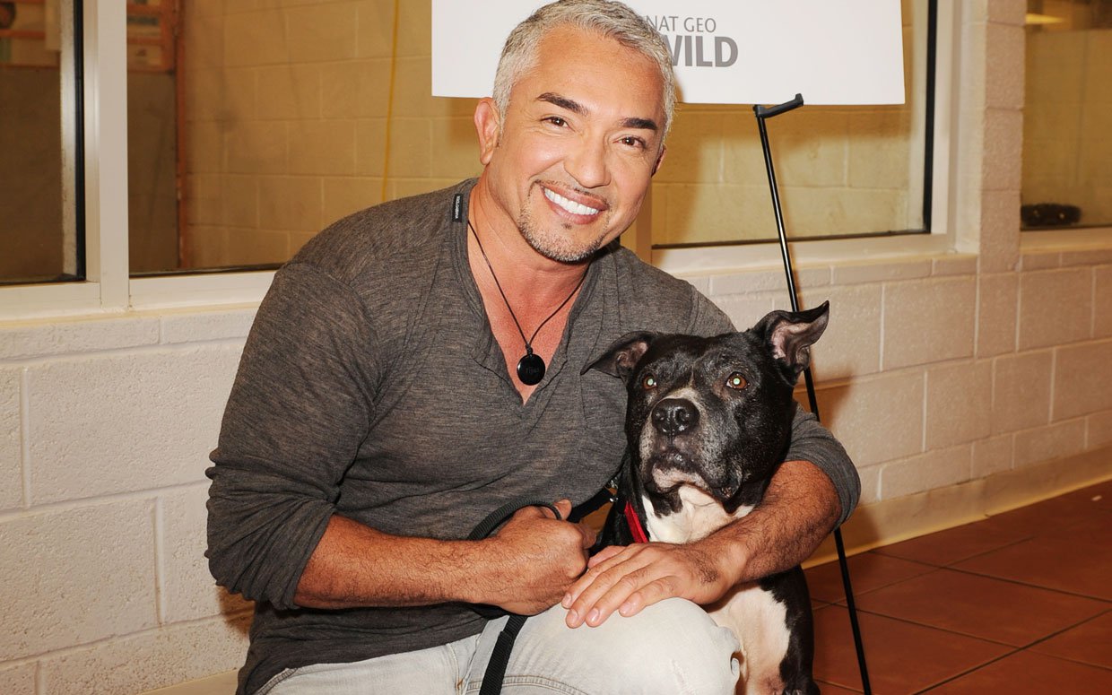 Cesar Millan Dog Picture Quotes. QuotesGram