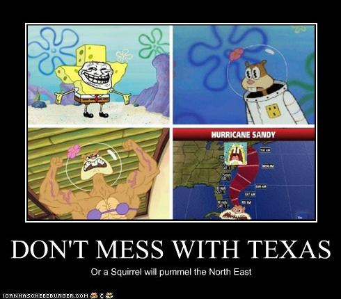 Sandy Cheeks Quotes. QuotesGram