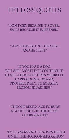 When Your Dog Dies Quotes. QuotesGram