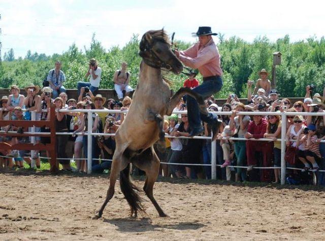Funny Rodeo Quotes. QuotesGram