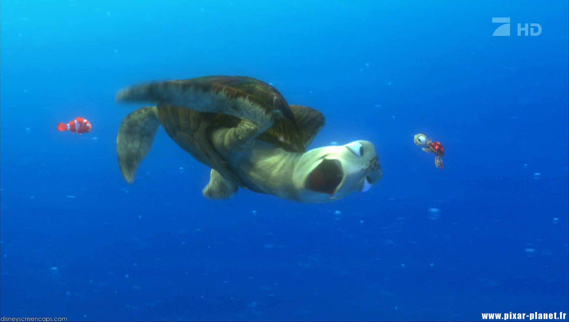 Crush From Nemo Quotes. QuotesGram