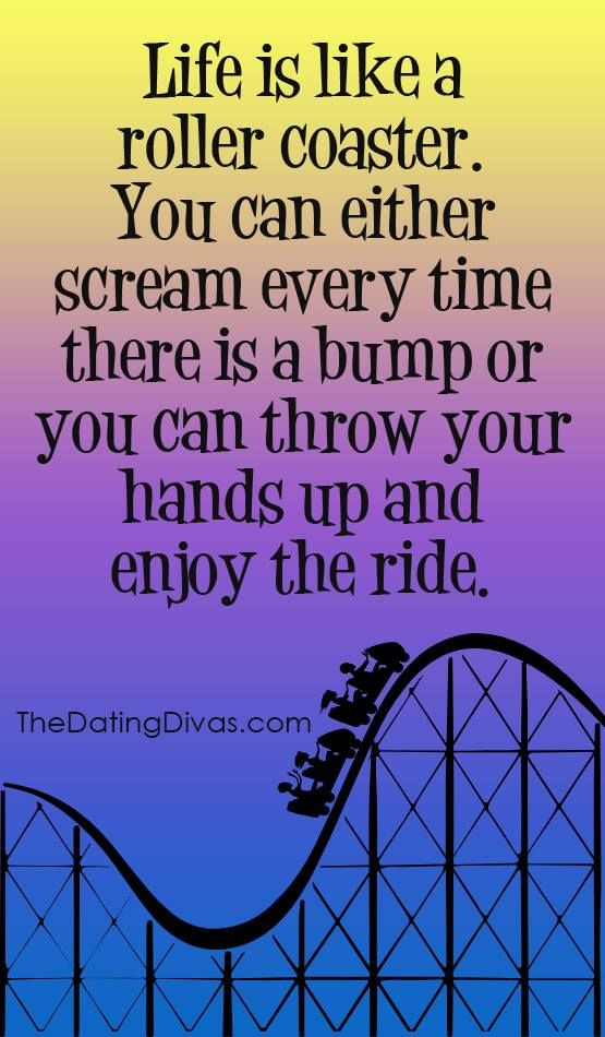 Love Is Like A Roller Coaster Quotes Quotesgram