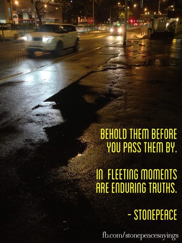 Fleeting Moments Quotes. QuotesGram