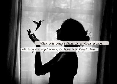 Fragile Heart Quotes QuotesGram fragile-heart-quotes-quotesgram
