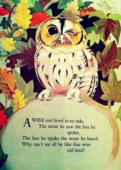 Wise Owl Quotes. QuotesGram