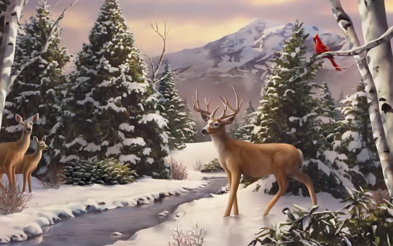 Wild Animal Christmas Quotes QuotesGram