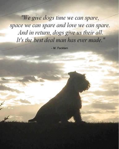 Mans Best Friend Dog Quotes. QuotesGram