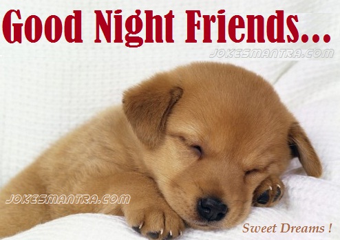 Funny Good Evening Quotes Quotesgram