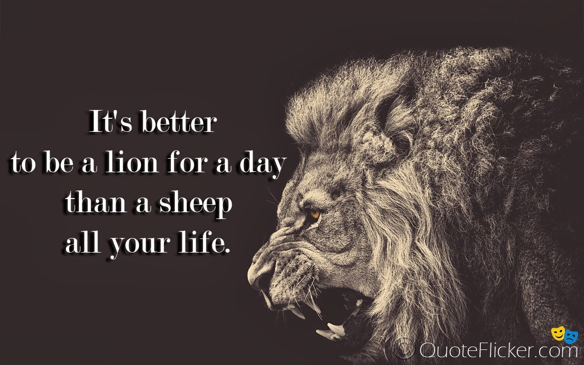 Lions Motivational Quotes About Strength. QuotesGram