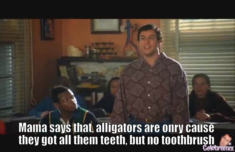 Waterboy Alligator Quote / Pin By Brittanee Viningre On Favorite Movies
