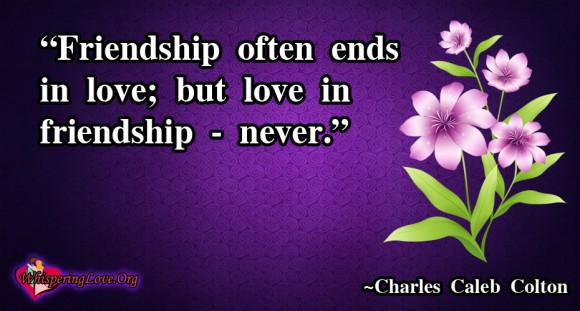 Friendship Never Ends Quotes. QuotesGram