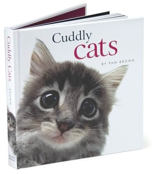 Cat Wisdom Quotes. QuotesGram