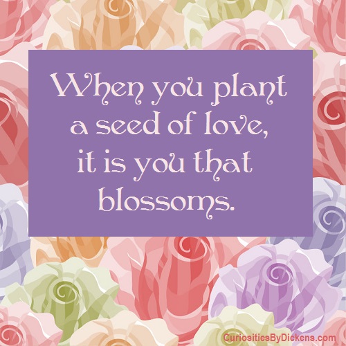 Plant Seeds Of Love Quotes. QuotesGram