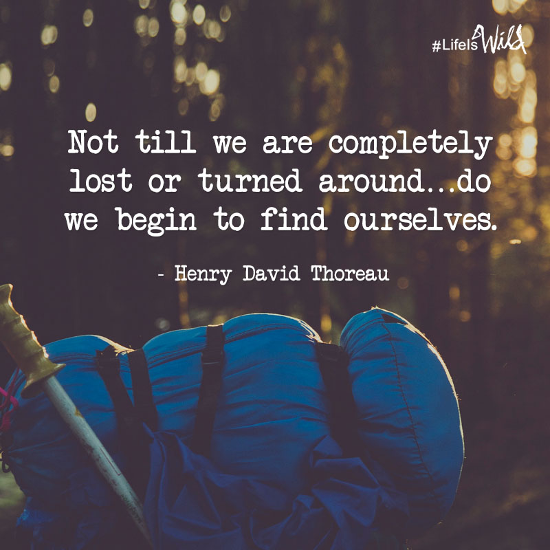 Wild Quotes. QuotesGram
