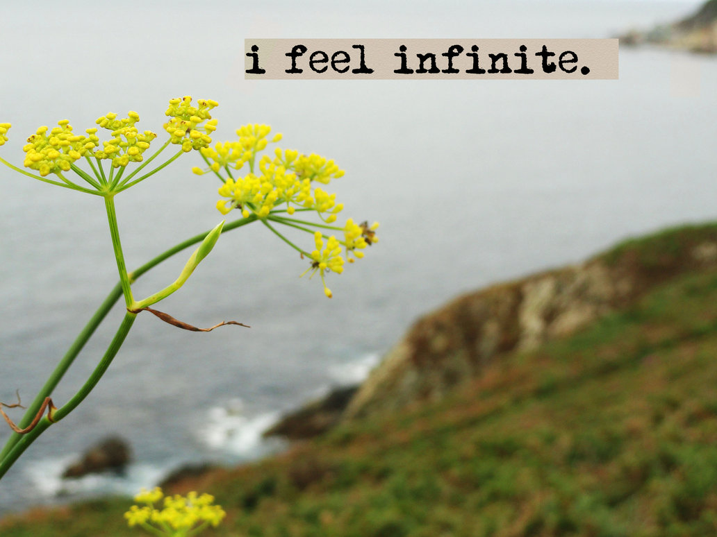 Perks Of Being A Wallflower Quotes Infinite. QuotesGram