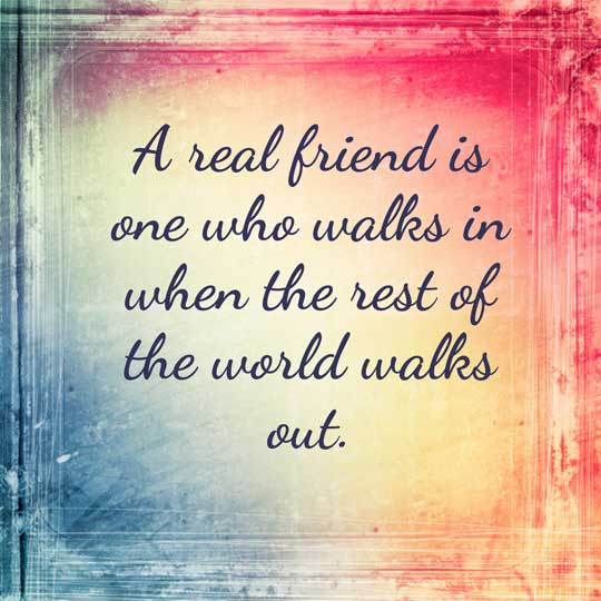 Hens Quotes. QuotesGram