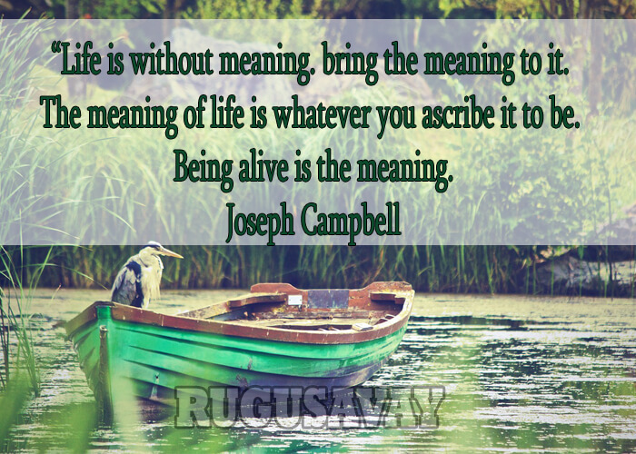 Joseph Campbell Quotes