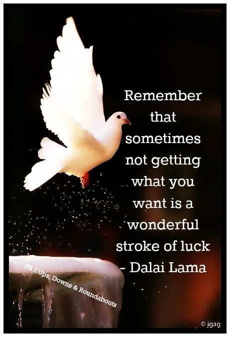 Quotes About Stroke Recovery. QuotesGram