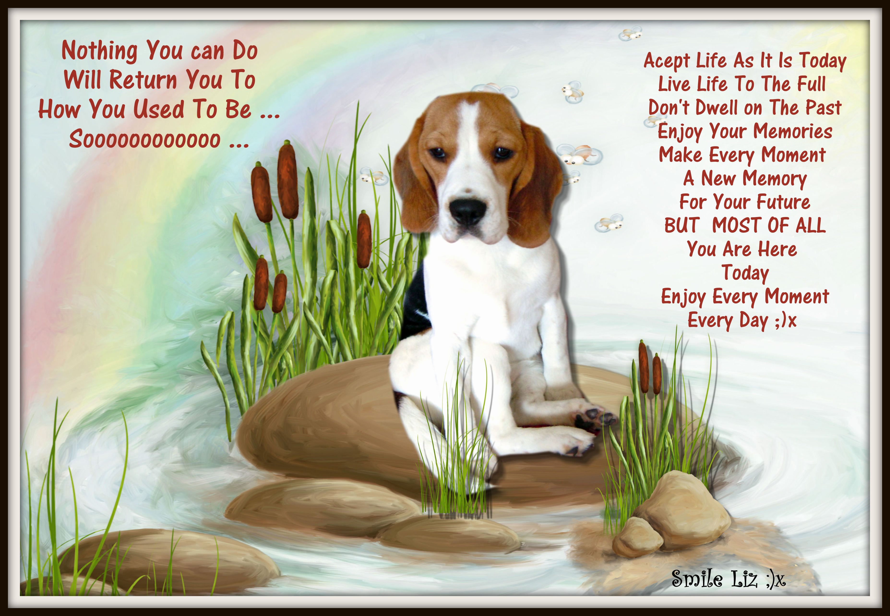 Enjoy Every Day Quotes