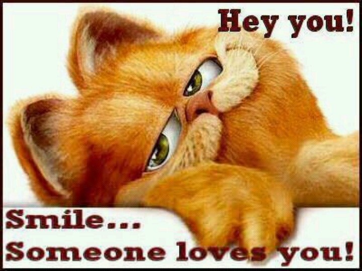 Garfield Miss You Quotes QuotesGram garfield-miss-you-quotes-quotesgram