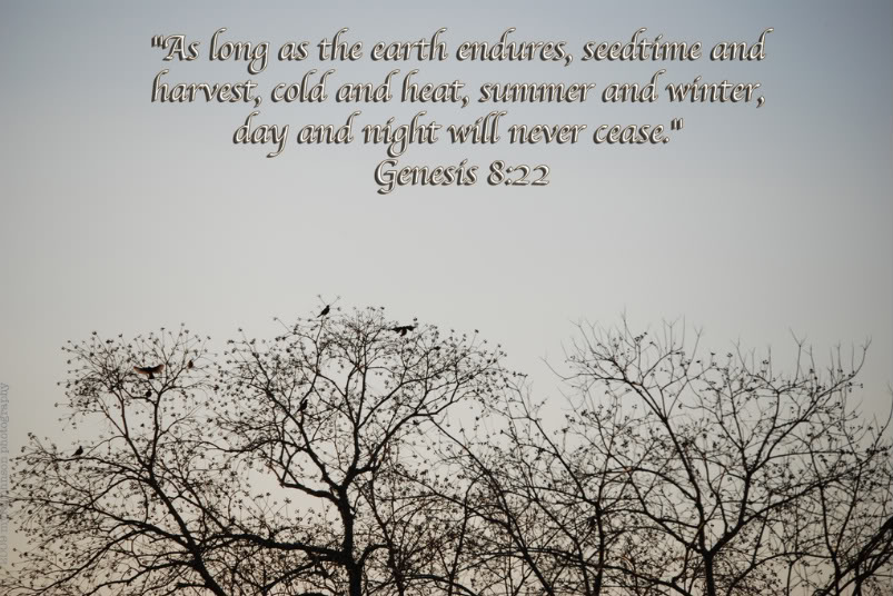Winter Bible Quotes. QuotesGram
