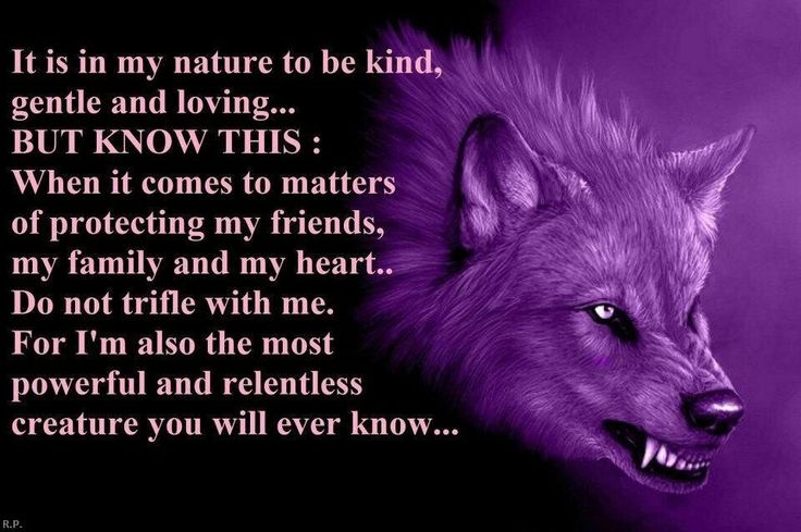Mother Protecting Daughter Quotes. QuotesGram