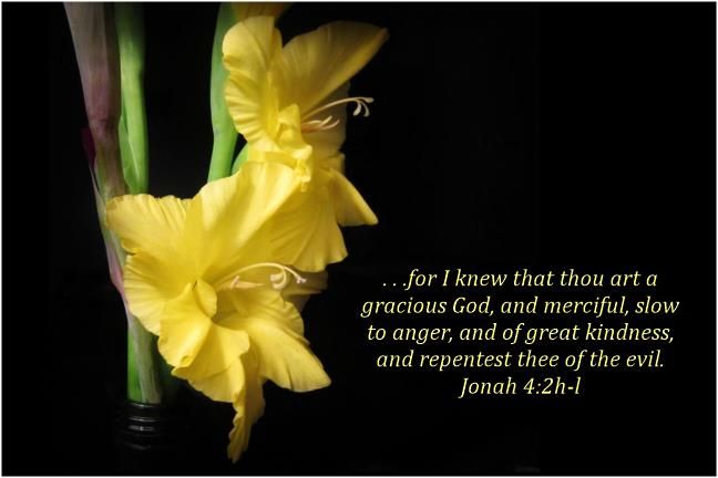 Jonah Bible Quotes. QuotesGram Jonah Bible Quotes. QuotesGram