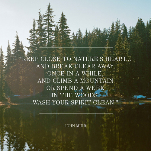Nature In Peace Quotes. QuotesGram