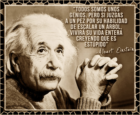 Albert Einstein Quotes In Spanish. QuotesGram