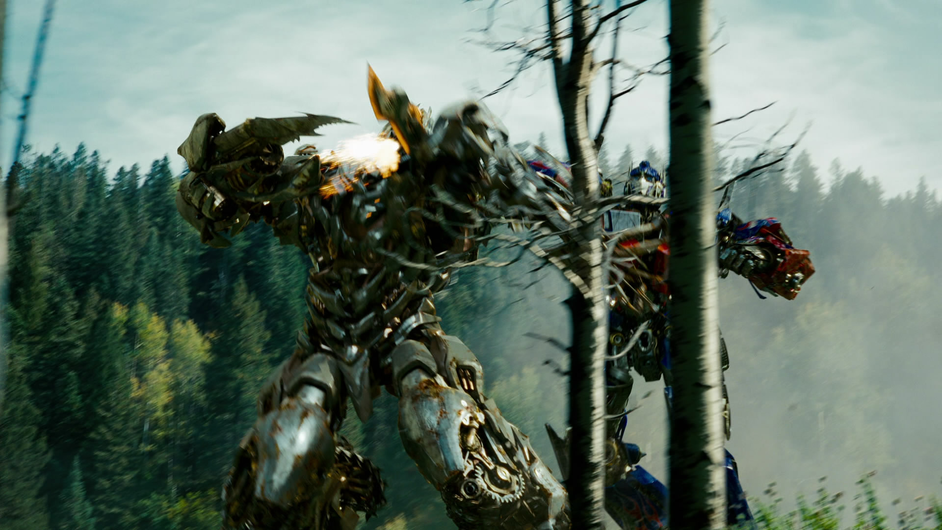 transformers forest fight