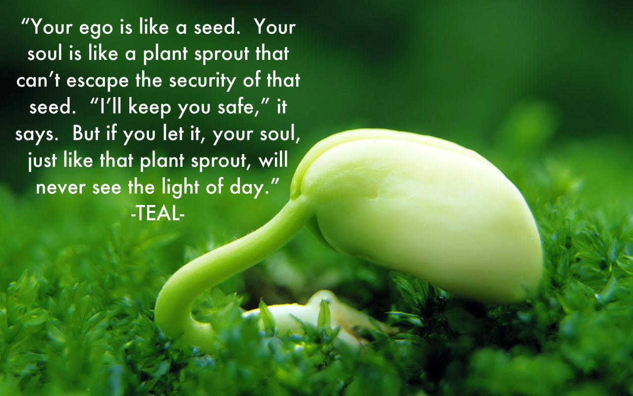 Seed Quotes. QuotesGram