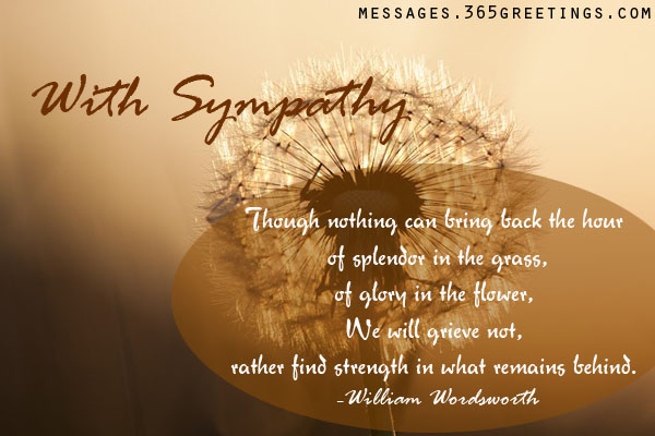 Great Sympathy Quotes. QuotesGram