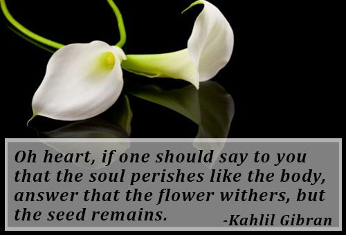 Sympathy Condolence Quotes. QuotesGram