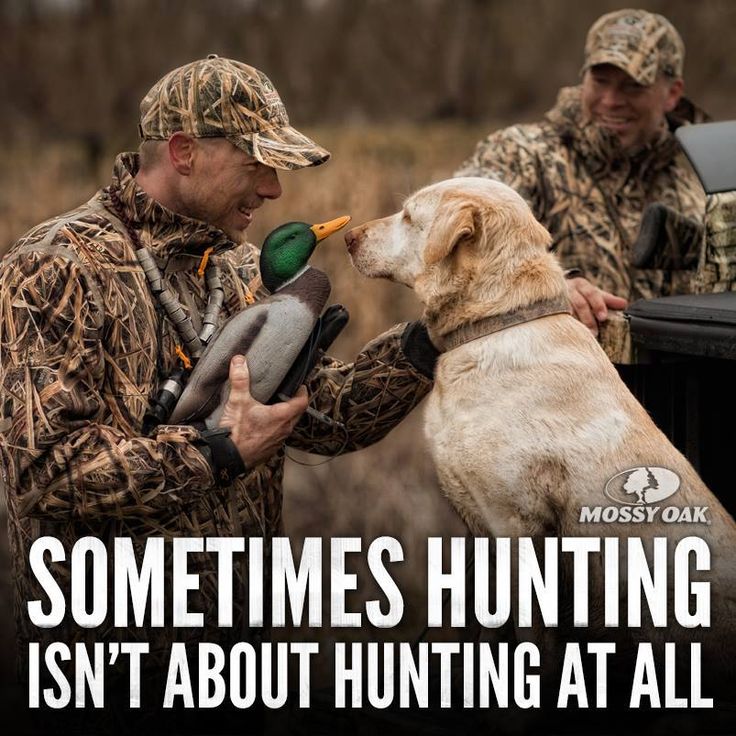 quotes-about-hunting-dogs-quotesgram