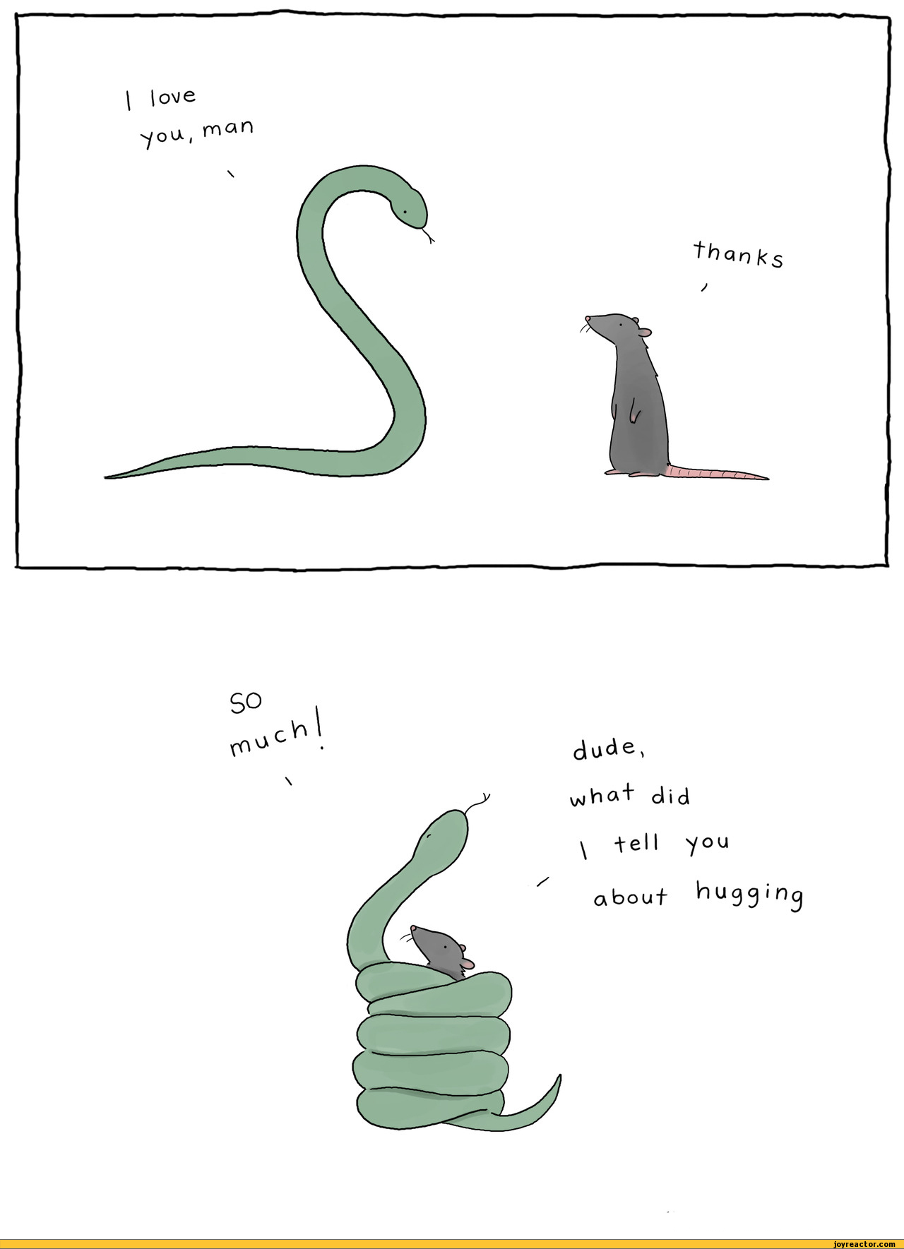 Cute Quotes About Snakes. QuotesGram
