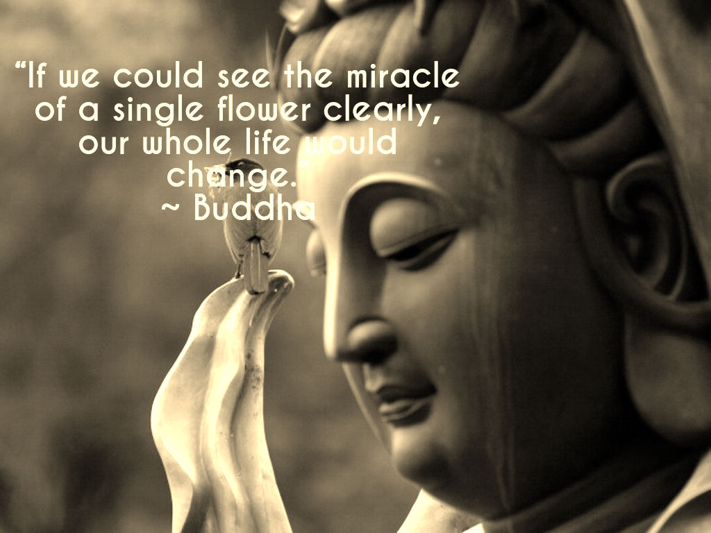Buddha Quotes On Change QuotesGram buddha-quotes-on-change-quotesgram