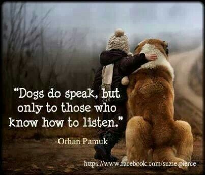 Mans Best Friend Dog Quotes. QuotesGram