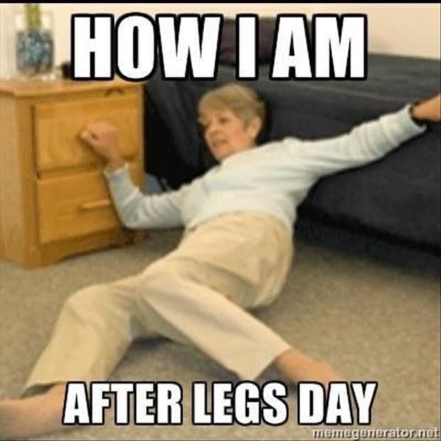 Jelly Legs After Leg Day, Buy Now, Shop, 57% OFF, 